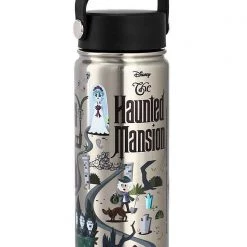 BIOWORLD X Disney Haunted Mansion Stainless Steel Water Bottle