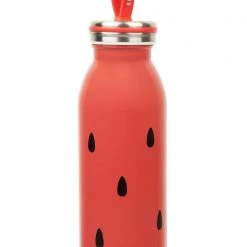 SunnyLife Watermelon Flask In Red/Green Accessories